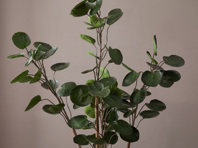 Faux Plants & Trees